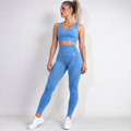 Blue JJ Gym Set