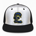 JJ x BlueCheese Reflective £ Snapback Cap